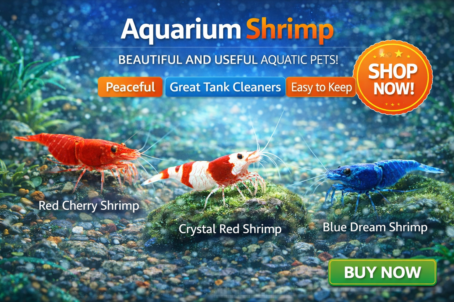 Buy Aquarium Shrimp Online at Low Price