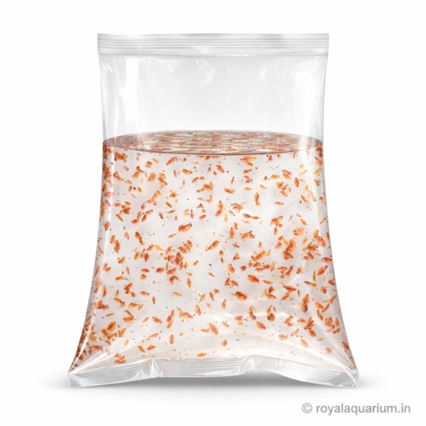 Moina Culture for Fish Fry | Live Starter Culture in India