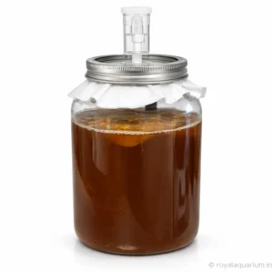 Vinegar Eel Starter Kit – Live Culture for Fish Fry