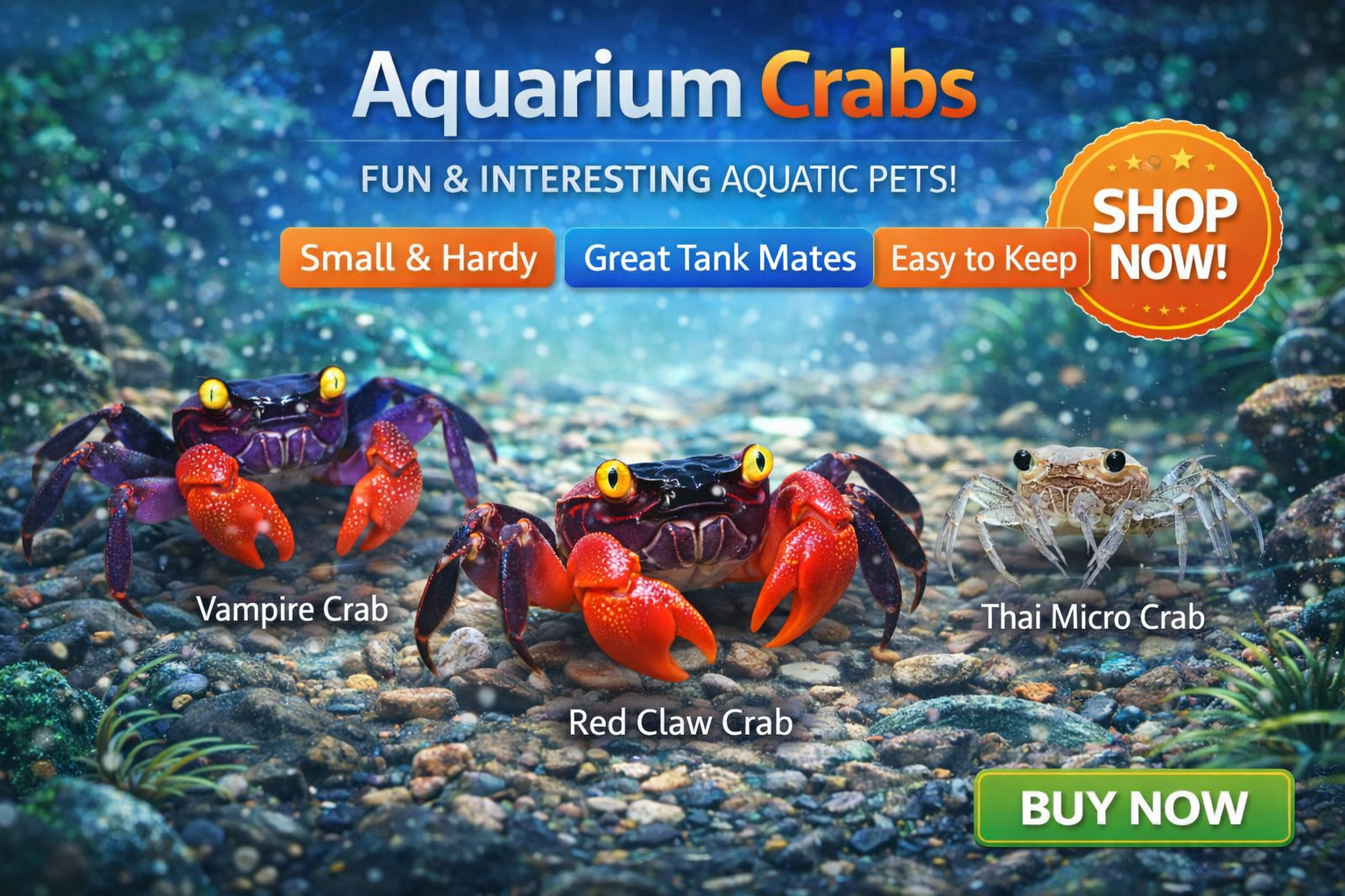 aquarium crabs