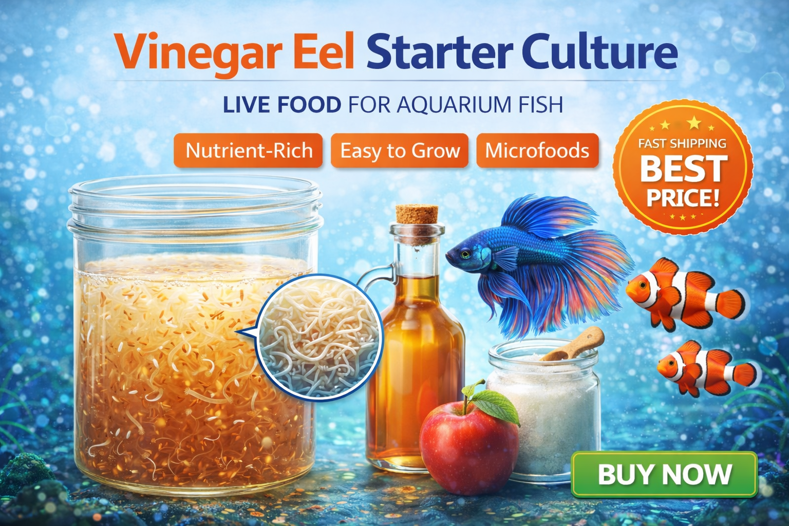 vinegar eel starter culture