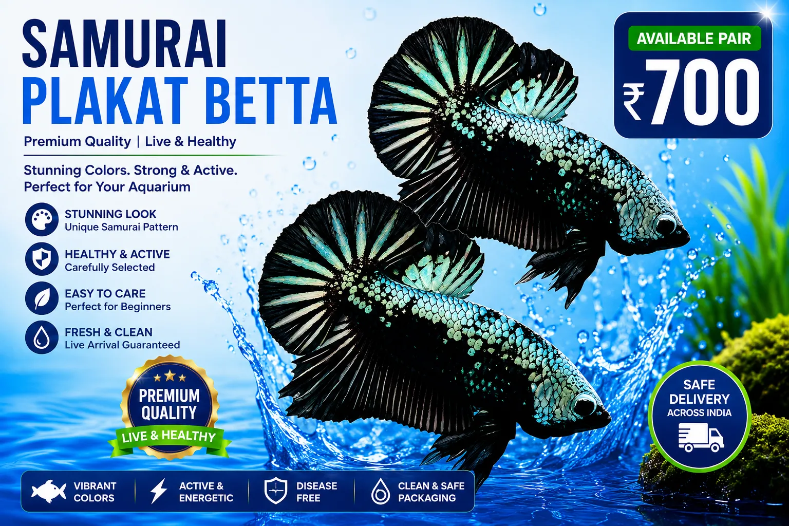 Samurai Betta